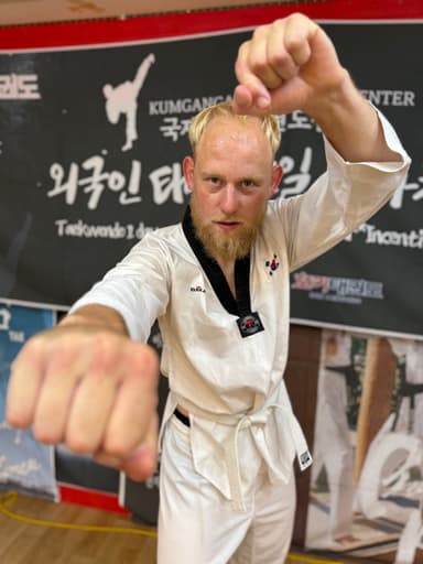 Taekwondo 1 Day Experience Tour Program, 90mins program