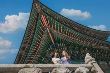 Seoul: Gyeongbokgung Palace Half Day Tour