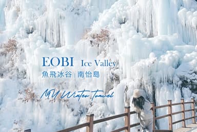 From Seoul: Eobi Ice Valley & Nami Island & Garden of Morning Calm