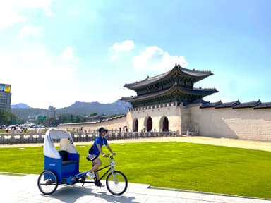 Wheels of Memory — Seoul Private Pedicab Tour : Landmark tour of Seoul [1.5h]