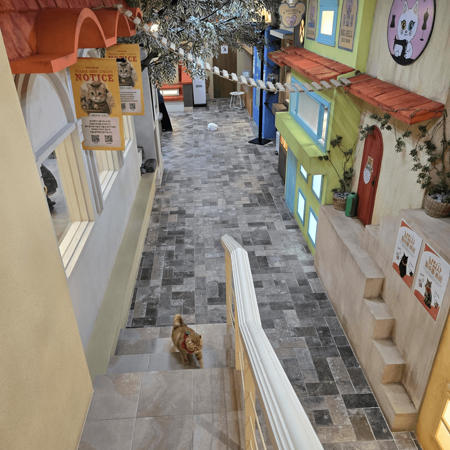 Unique Things to Do in Seoul