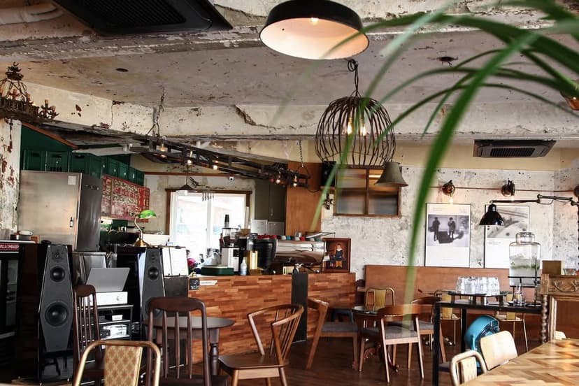 Sunlit Cafes in Seoul