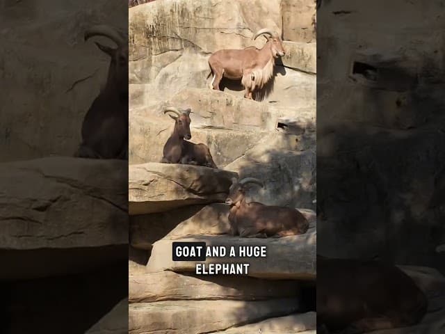 come with me as I show you the beauty of everland