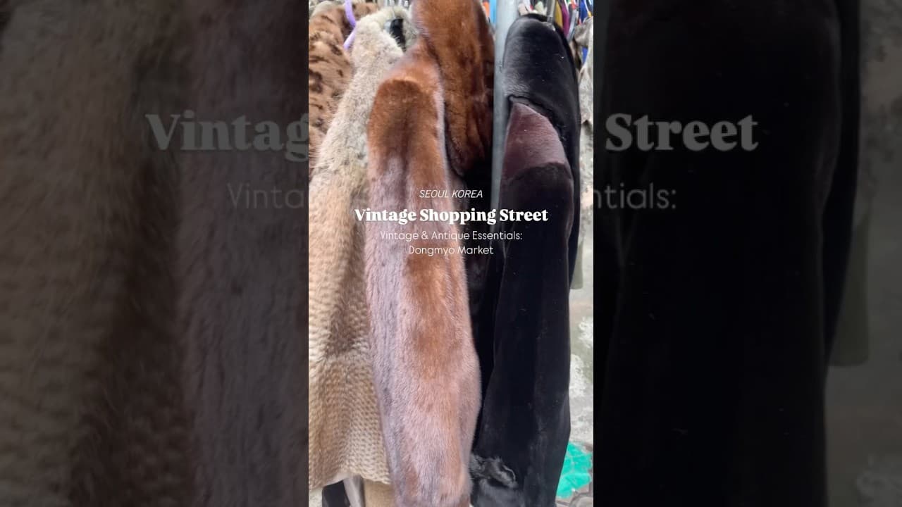 https://img.youtube.com/vi/bx-WrhbRAEY/maxresdefault.jpg