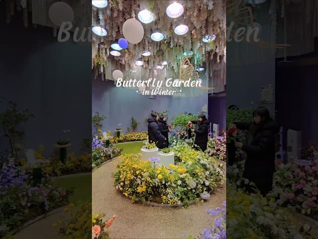 Butterfly Garden in Winter 🦋❄️