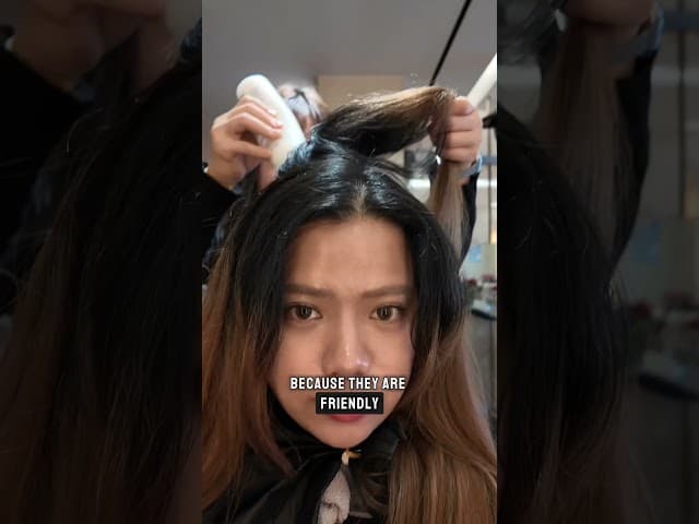 if you see this, this is your sign to book a salon in your next trip in korea