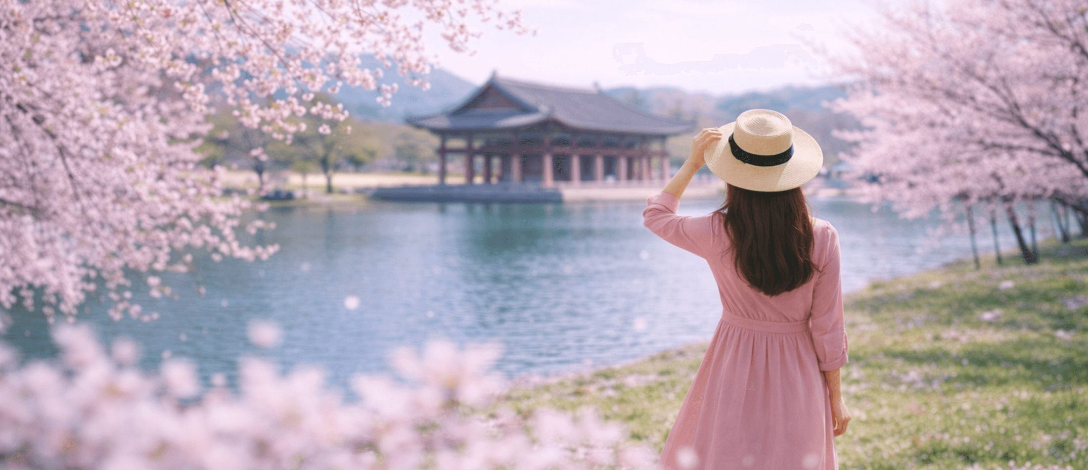 Spring in Korea <br/> <span style="color: #f6e1f1;">  Cherry Blossom Moments </span>